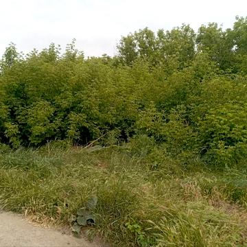 Фонтанка, Одеський, Одеська область 25000.0 USD