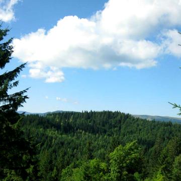 Сенечів, Калуський, Івано-Франківська область 450.0 EUR