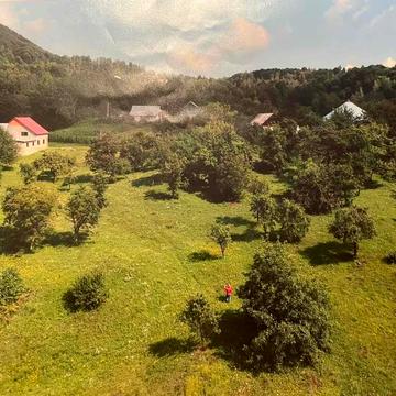 Залом, Хустський, Закарпатська область 22000.0 USD