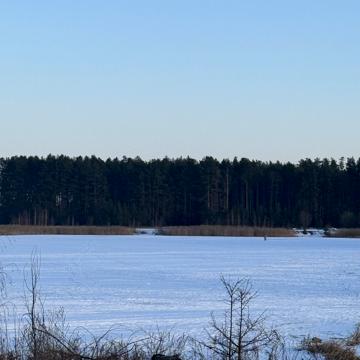 Загальці, Бучанський, Київська область 5000.0 USD