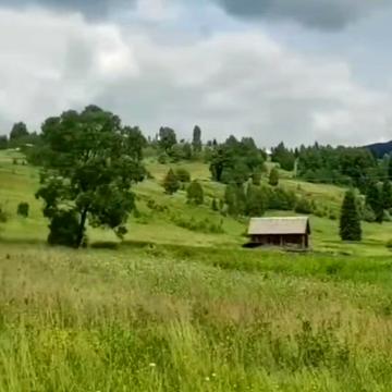 Вишків, Калуський, Івано-Франківська область 12000.0 USD