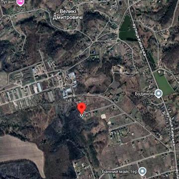 Великі Дмитровичі, Обухівський, Київська область 250000.0 USD