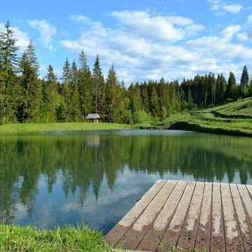 Хащованя, Стрийський, Львівська область 80000.0 USD