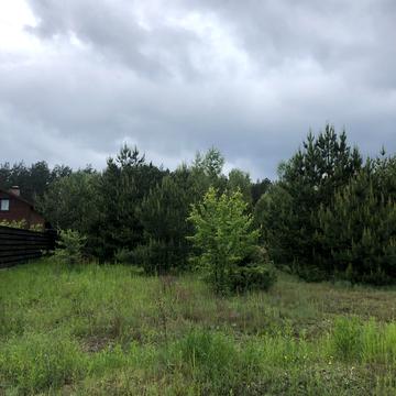 Блиставиця, Бучанський, Київська область 145000.0 USD