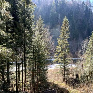 Івана Петраша вул.