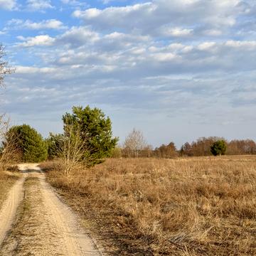 Гостомель, Бучанський, Київська область 16500.0 USD