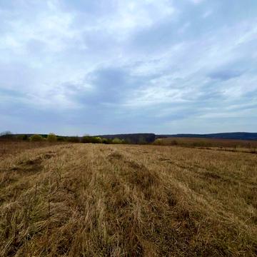 Козина, Івано-Франківський, Івано-Франківська область 8500.0 USD