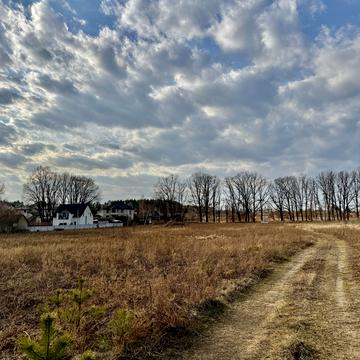 Озеро, Гостомель, Бучанський, Київська область 6000.0 USD