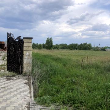 Симоненка