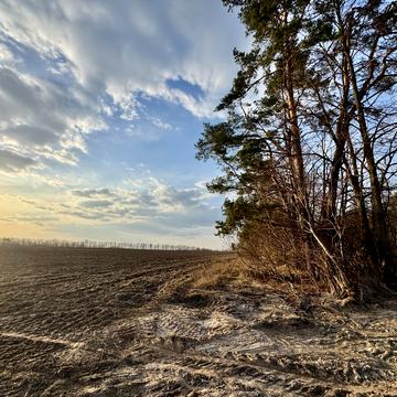 Аеропорт Антонов, Гостомель, Бучанський, Київська область 6000.0 USD