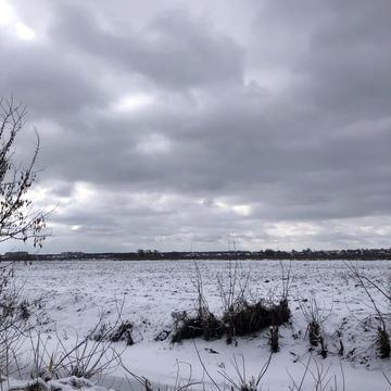 Гостомель, Бучанський, Київська область 3750000.0 USD