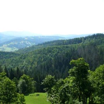 Криворівня, Верховинський, Івано-Франківська область 200.0 EUR