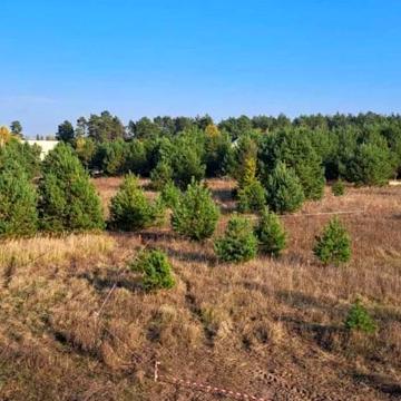 Бобриця, Фастівський, Київська область 14500.0 USD