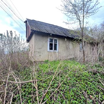 Зелена