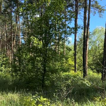 Польова, 3