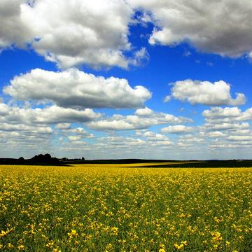 Сотницьке, Дніпровський, Дніпропетровська область 2500.0 USD