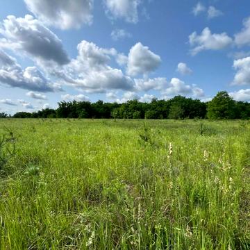 Михайлівка-Рубежівка, Бучанський, Київська область 22000.0 USD