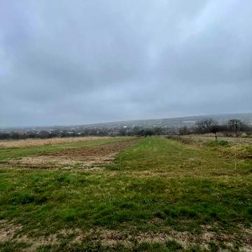 Великі лази, Ужгородський, Закарпатська область 13000.0 USD