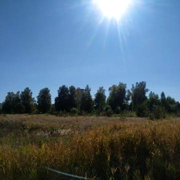 Глеваха, Фастівський, Київська область 140000.0 USD