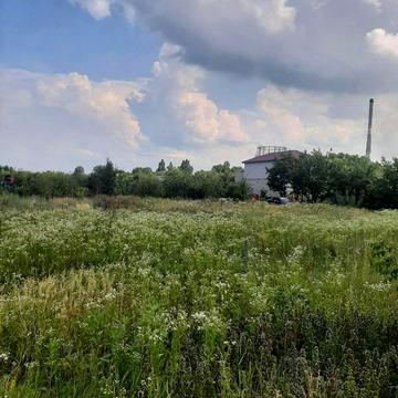 Петра Дорошенка вул. (Пацаєва)