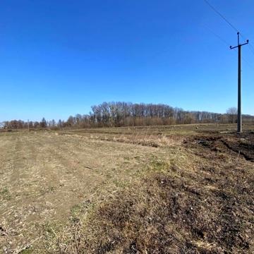 Немішаєве, Бучанський, Київська область 8000.0 USD