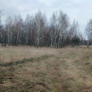 Вишгород, Вишгородський, Київська область 4000.0 USD