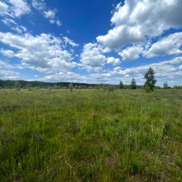 Блиставиця, Бучанський, Київська область 24000.0 USD