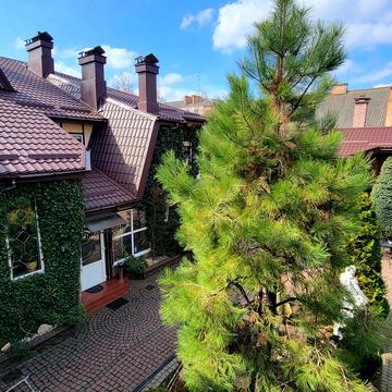Миру просп., 55