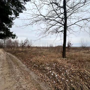 Михайлівка-Рубежівка, Бучанський, Київська область 120000.0 USD