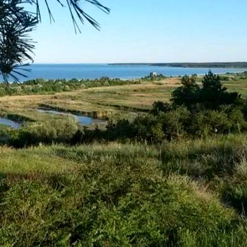 Городищанська