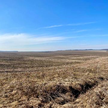 Лісові Гринівці, Хмельницький, Хмельницька область 6200.0 USD