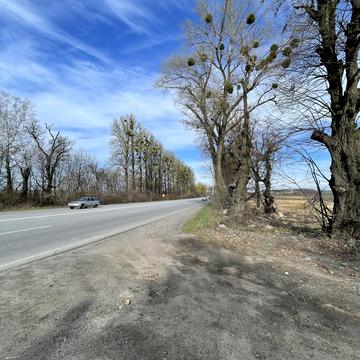 Писарівка, Вінницький, Вінницька область 85000.0 USD
