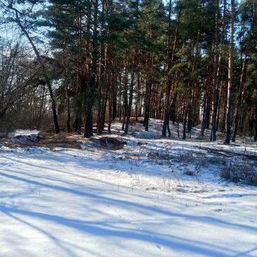 Вороньків, Бориспільський, Київська область 200000.0 USD