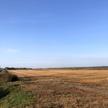 Гостомель, Бучанський, Київська область 15000.0 USD