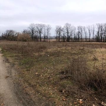 Аеропорт Антонов, Гостомель, Бучанський, Київська область 12000.0 USD