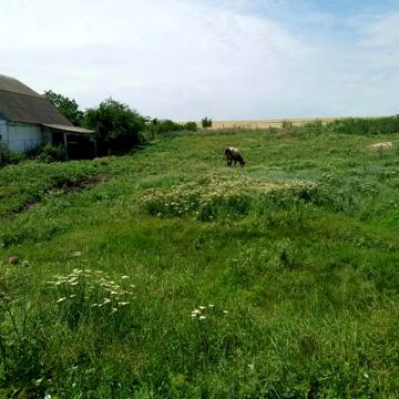 Нова долина, Одеський, Одеська область 3000.0 USD