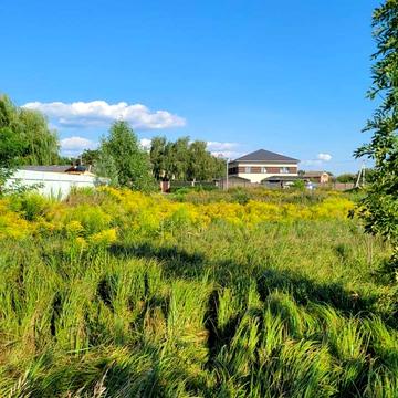 Лісова вул.