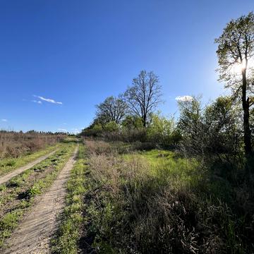 Маяковського