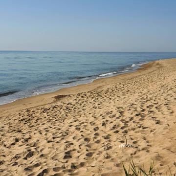 Кароліни Сибанської вул., 5