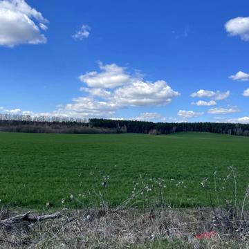 Княжичі, Фастівський, Київська область 180000.0 USD