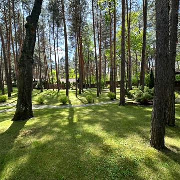 Ясний пров.