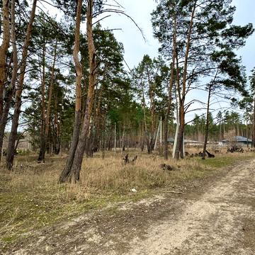 Левка Симиренка вул., 41