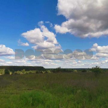 Ворзель, Бучанський, Київська область 286000.0 USD