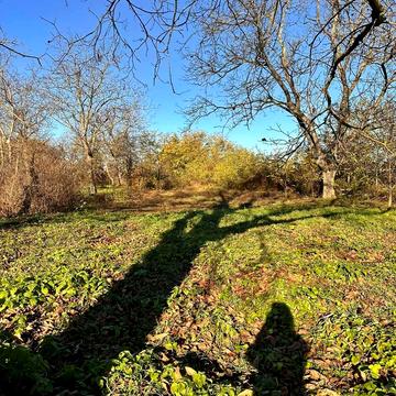 Батфа, Ужгородський, Закарпатська область 10500.0 USD