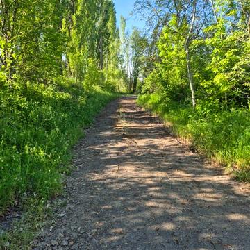 Центральна