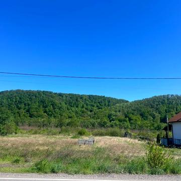 Невицьке, Ужгородський, Закарпатська область 19000.0 USD