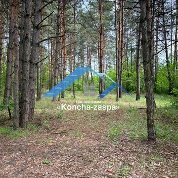 Плюти, Обухівський, Київська область 600000.0 USD