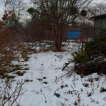 Шевченківський, Львів, Львівська область 25000.0 USD