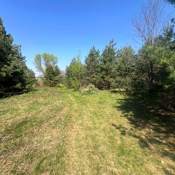 Михайлівка-Рубежівка, Бучанський, Київська область 22000.0 USD