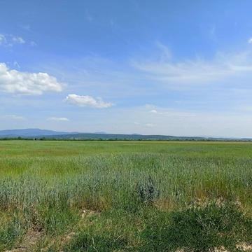 Коритняни, Ужгородський, Закарпатська область 24000.0 USD